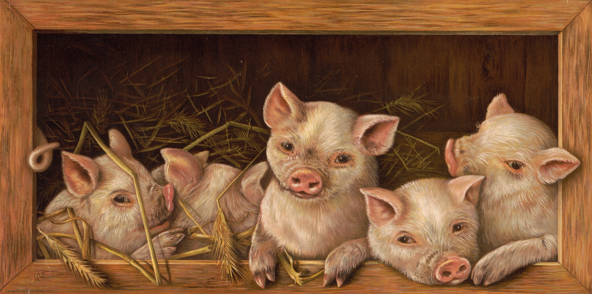 Pig, Piglets Vintage Art