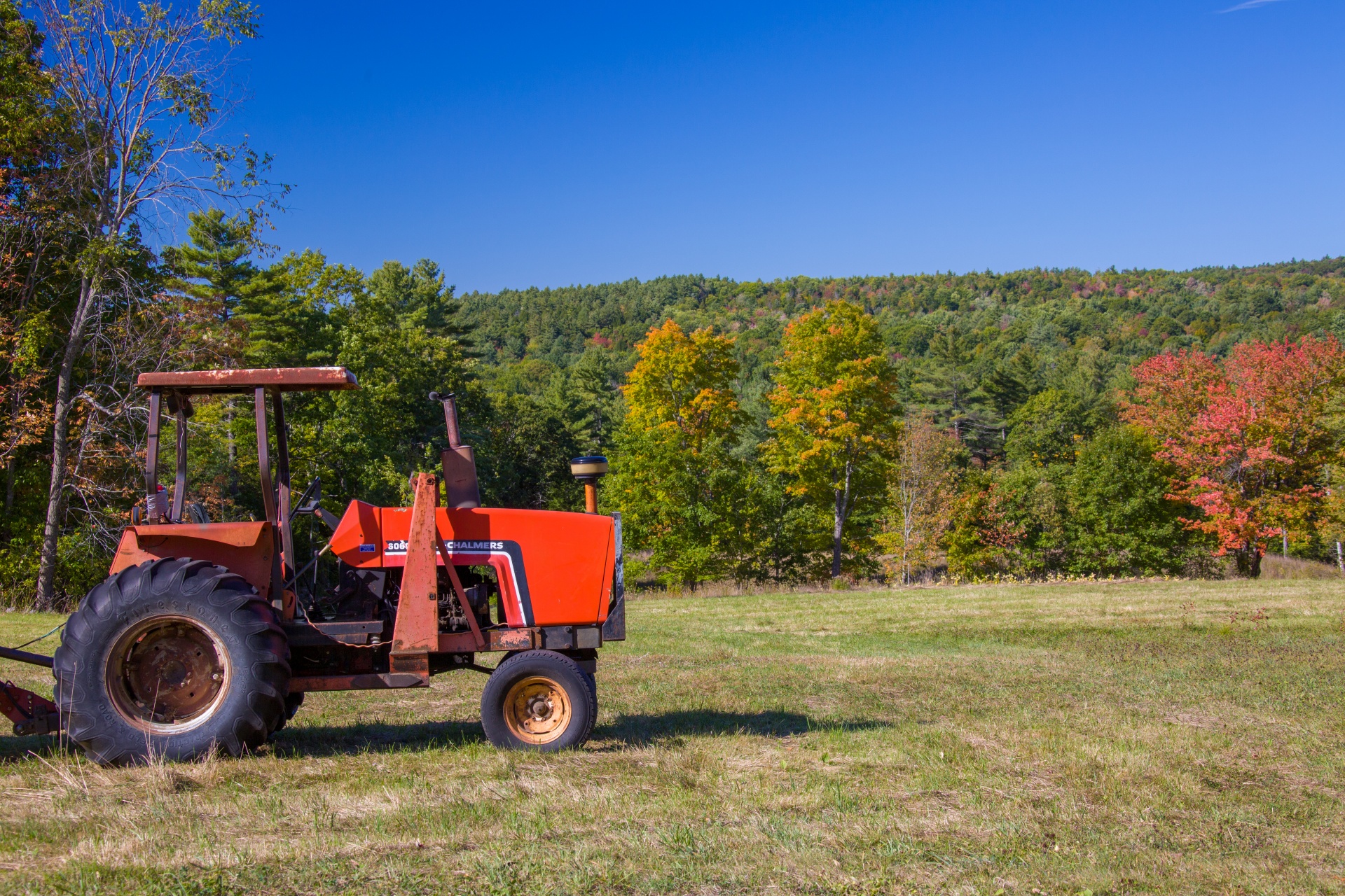 Red tractor on a meadow