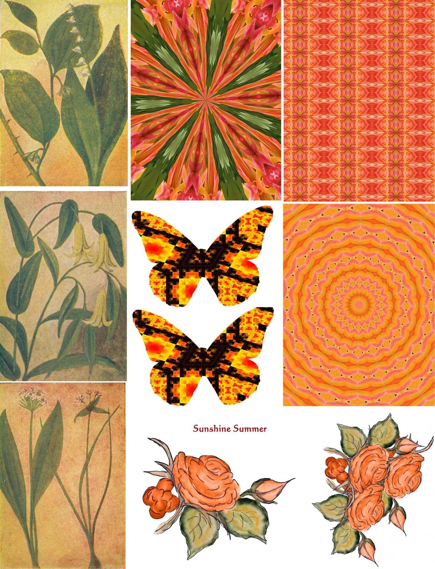 Summer Orange Collage Sheet