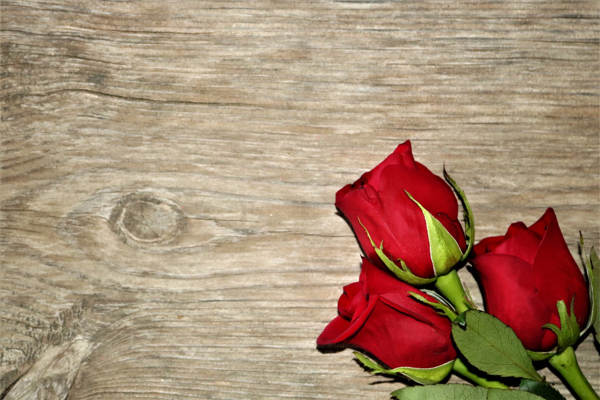 Three Red Roses On Wood Background