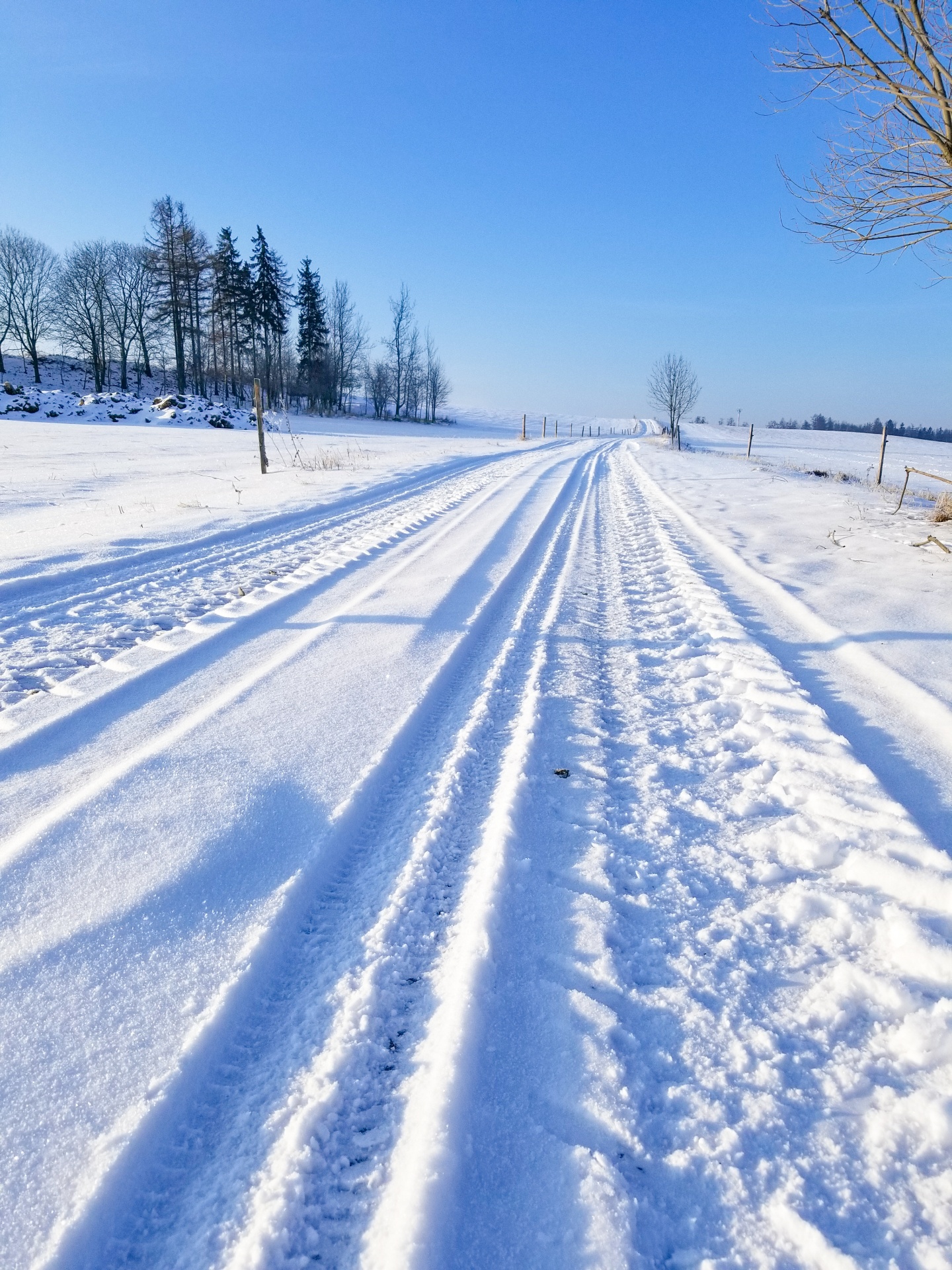 Various vehicle tracks in the snow covered road