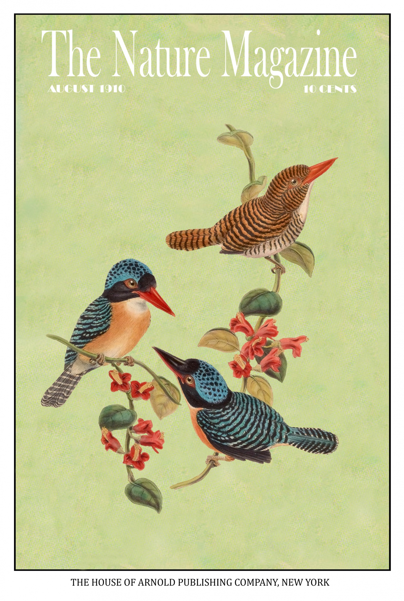 Vintage Bird Magazine Cover
