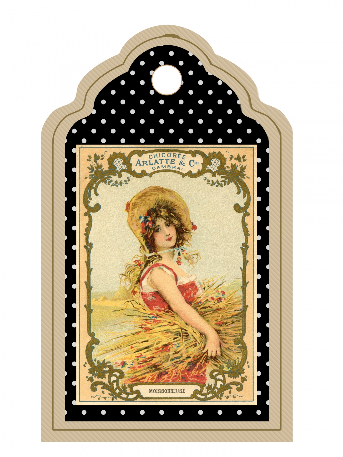 Vintage illustration of beautful young woman label, tag,