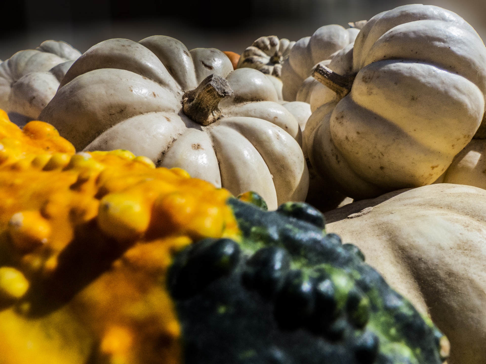 White pumpkins in market for sale, piled with other Fall foods, colorful gourds