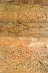 African Wood Texture