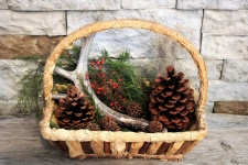 Basket Of Woodland Nature