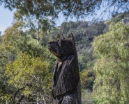 Bear Sculpture In The Woods