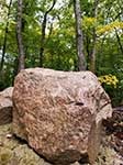 Big Rock In Forest