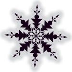 Black Snowflake