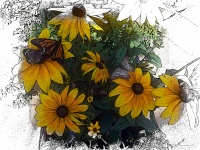 Butterflies On Sunflowers