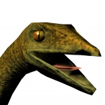 Compsognathus Head