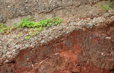 Cross Section Of Exposed Earth