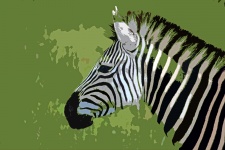 Cutout Of Head Of Zebra