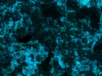 Cyan And Black Texture Background