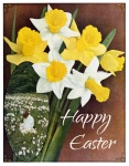 Daffodils Vintage Easter Card