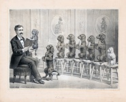 Dogs Vintage Illustration