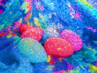 Easter Eggs Abstract