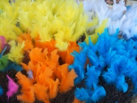 Feather Colors
