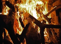 Fiery Flames Of A Wood Fire