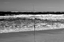Fishing Pole Background