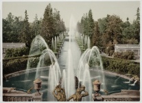 Fountains At Peterhof Palace 1910