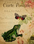 Frog Vintage Floral Postcard