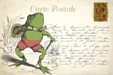 Frog Vintage Postcard