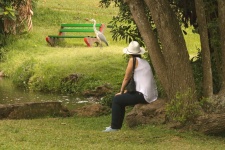 Girl In A Park