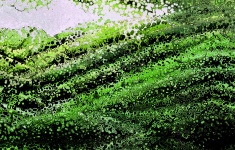 Green Bubbles Background