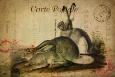 Hare Vintage Floral Postcard