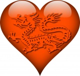 Heart Of A Dragon Orange