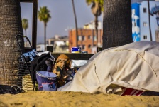 Homelessness On Beach