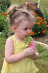 Little Girl Smelling Orange Flower