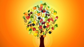 Fruits And Vitamins
