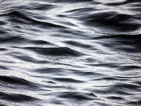 Ocean Waves Blury Closeup Texture