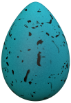 Duck Egg - 1