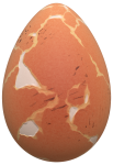 Egg Of Chicken - 1