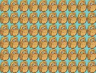 Owls Background