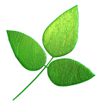 Small Green Leaf 1
