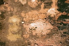 Plastered Wall With Cracks