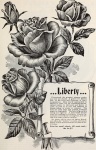 Roses Vintage Advertisement