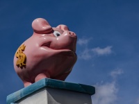 Save Money Piggy Bank