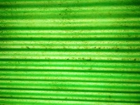 Scratched Green Linear Texture