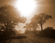 Sepia Image Of Dust On Sand Roads
