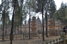 Shaolin Temple Pagoda Forest