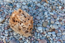 Stone With Holes On A Beach