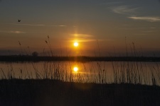 Sunset At The Wetlands
