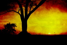 Sunset Tree Vintage Painting