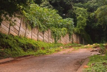 Tarred Road With Wall & Vegetation