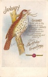 Thrush Bird January Garnet Birthday
